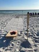 beach chairs on a sandy beach in a circle around a bonfire pit, ocean in the background